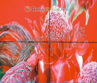 南京、無(wú)錫、鎮(zhèn)江地區(qū)液晶拼接屏市場(chǎng)熱銷(xiāo)分析及廠家推薦