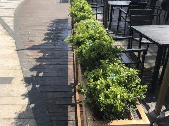 上海別墅庭院花園 從設(shè)計施工到綠化養(yǎng)護(hù)的全流程指南