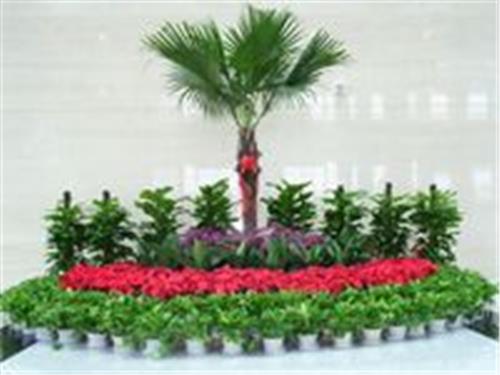 廣州市南沙區(qū)橫瀝永恒花場(chǎng)綠化工程部 專業(yè)園林設(shè)計(jì)與施工一體化服務(wù)